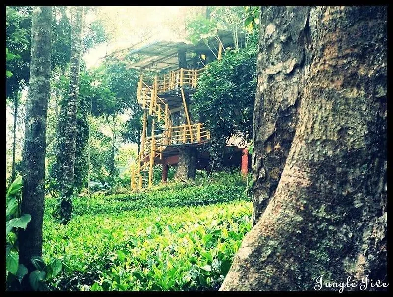 Jungle Jive Treehouse And Farm House 무나르